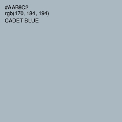 #AAB8C2 - Cadet Blue Color Image